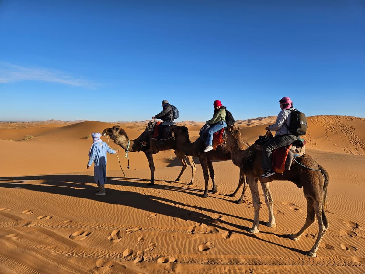 Todra Gorges canyon landscape during the 3 day Morocco desert tour