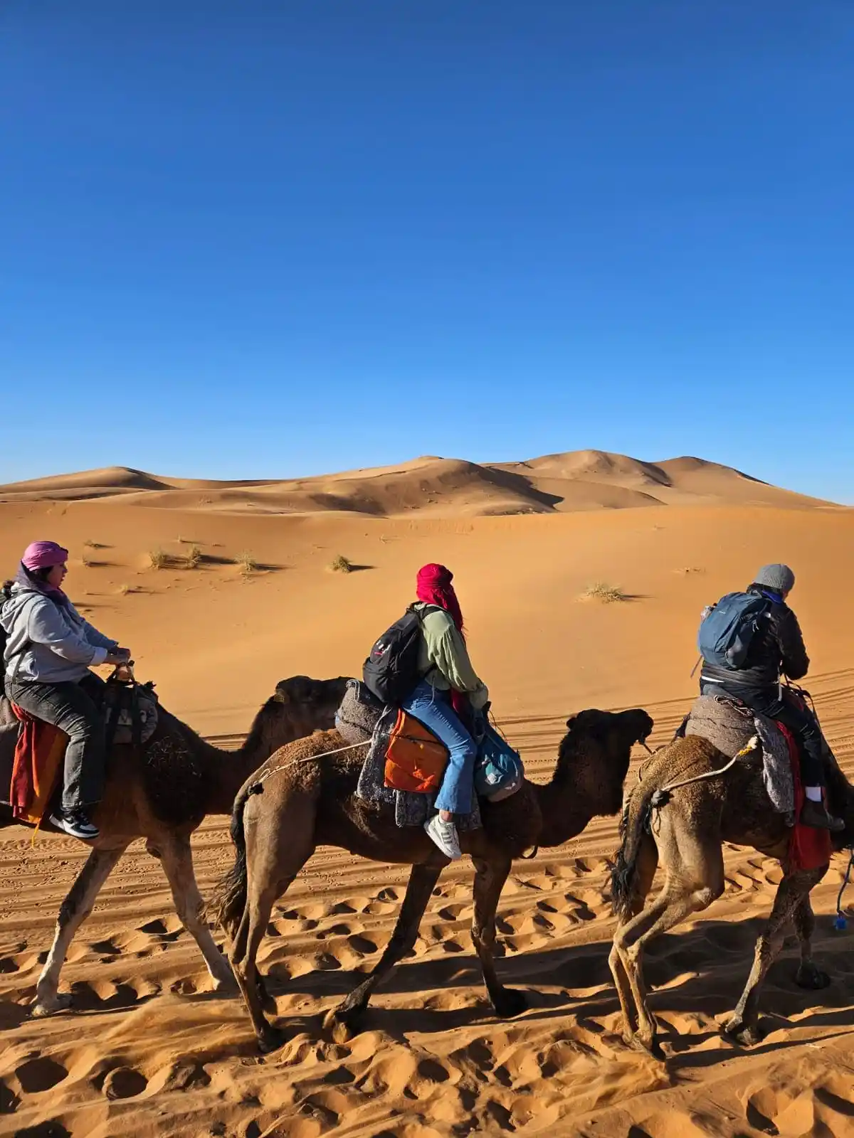 sahara desert merzouga with camel activites
