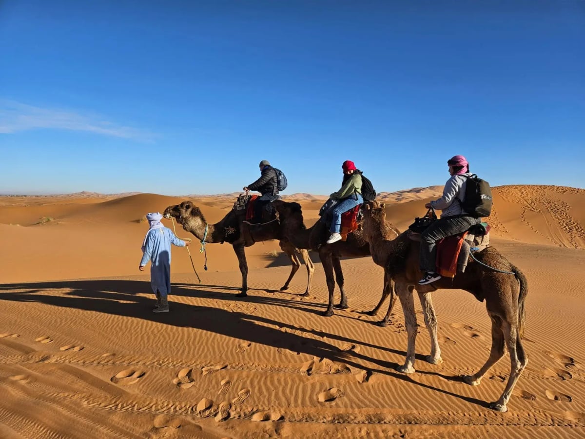 Camel ride across the Erg Chebbi dunes during a 4 day desert tour from Marrakech to Merzouga